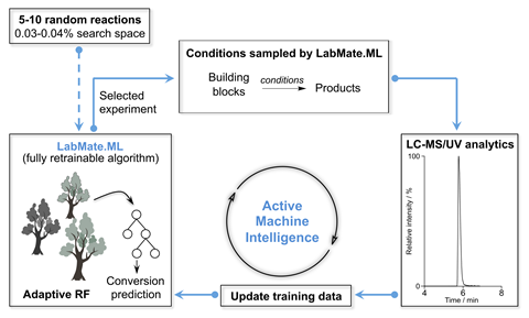 An image showing the workflow for reaction optimisation