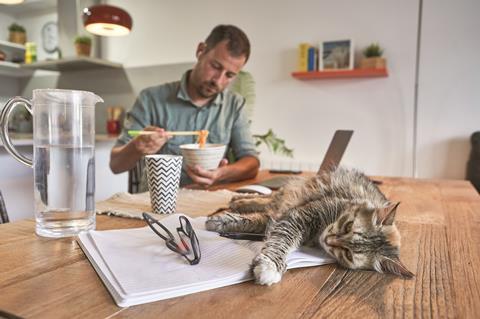 An image showing a man working from home