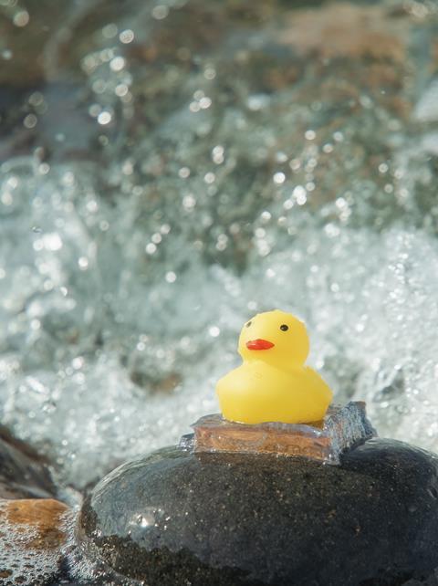 Rubber duck