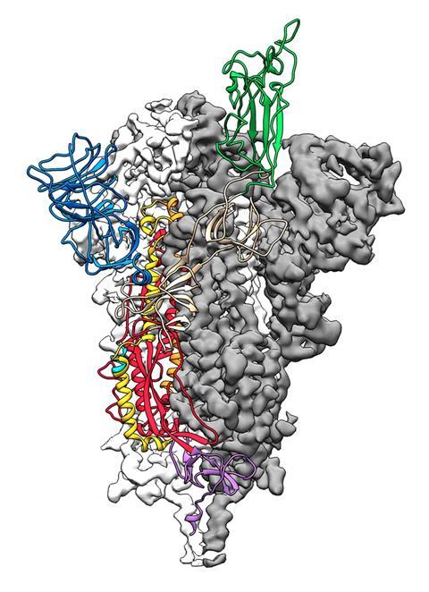 An image showing the 2019-nCoV spike protein