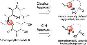 erythronolide