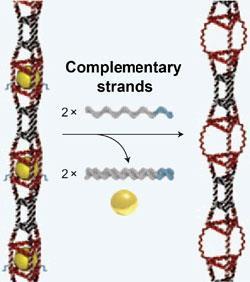 DNA-nanotubes-250