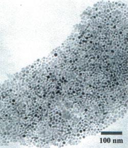 nanoparticles-250-NIST
