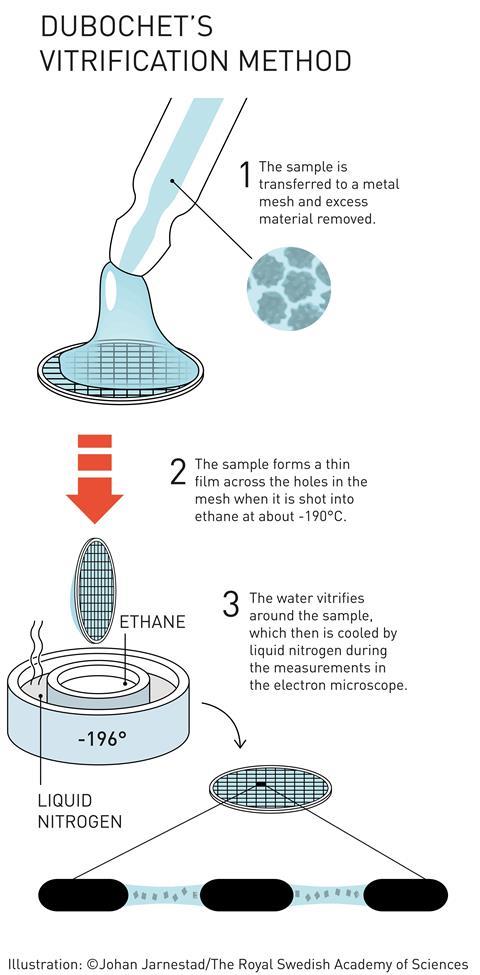 What Is Cryo Electron Microscopy (Cryo EM)