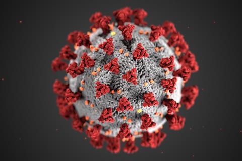 An image showing a coronavirus particle