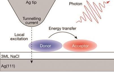 Molecular energy transfer put under the microscope | Research
