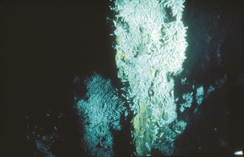 Hydrothermal vent discovered by Susan Humphris in 1986 Atlantic expedition 