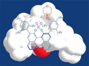 hydrogenation-catalyst-300