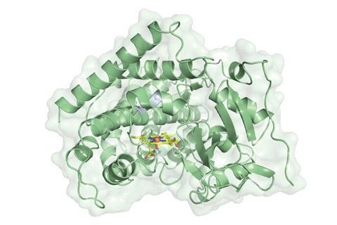 An image showing an enzymatic construction of highly strained carbocycles