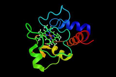 cytochrome complex