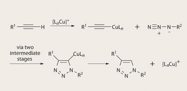 FEATURE-Click-chem-375