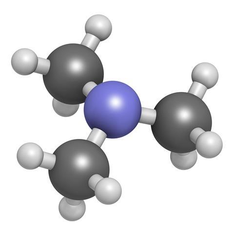 Trimethylamine 3D molecule