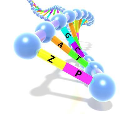 DNA-with-six-bases_410