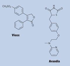 FEATURE-VIOXX-240