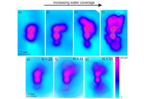 Lucht et al 2017 Angewandte Chemie International Edition  figure 3