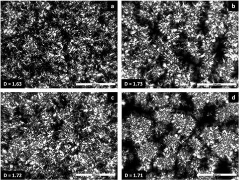 Micrographs of crystals in setting chocolate