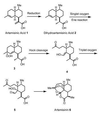 antimalarial-drugs-scheme1_350