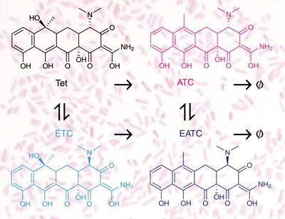 tetracycline2-400