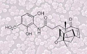 platensimycin-MRSA-300.jpg