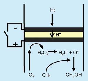 Fuel-Cell-300