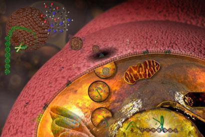 C0060519-Illustration_of_gene_therapy-SPL_410