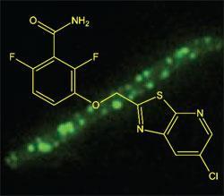 antibiot-250