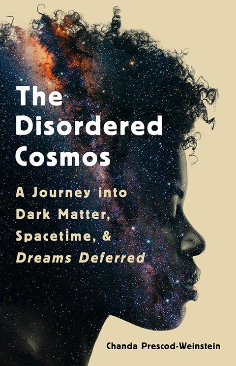 An image showing the book cover of The disordered cosmos