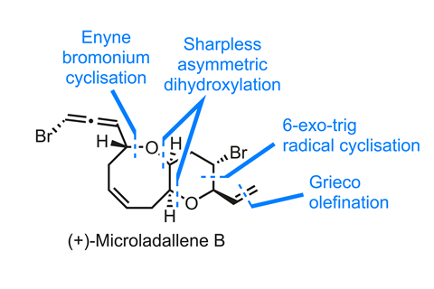 Structure of microladallene B showing the key bond disconnections