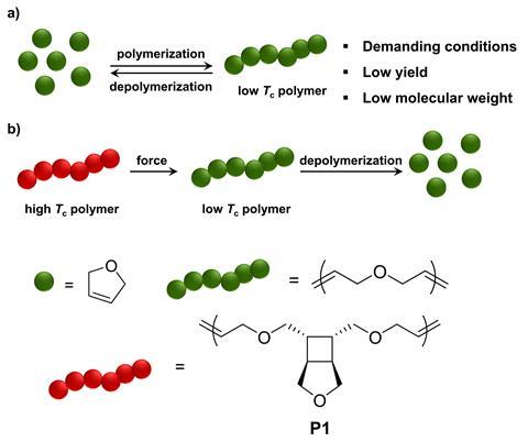 Polymer scheme