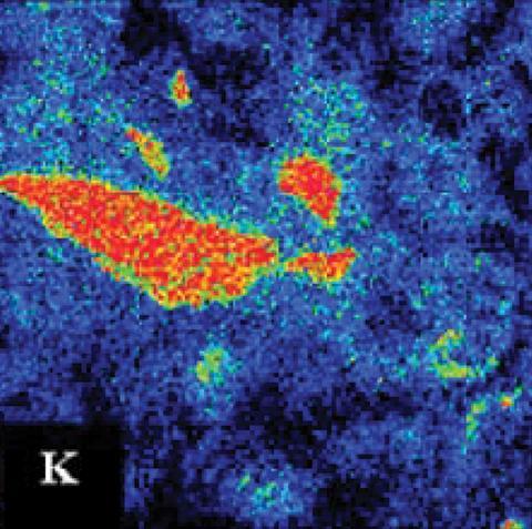 Electron probe micro-analyzer x-ray elemental maps of altered K-feldspar