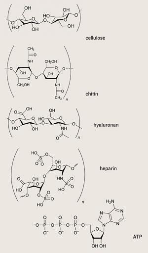 Edible atom | maalmonte