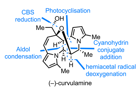 An image showing the structure of (-)-curvulamine