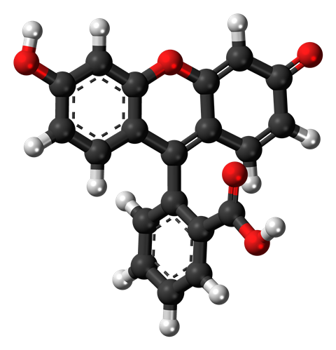 Ball-and-stick model of the fluorescein molecule