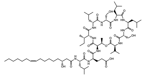 A large organic chemical structure