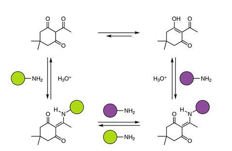 Reversible, dynamic covalent diketoenamine bonds. Diketoenamine bonds form spontaneously from triketones and both aromatic and aliphatic amines. Under strongly acidic conditions in water, the diketoenamine bond hydrolyses to the triketone and an ammonium 