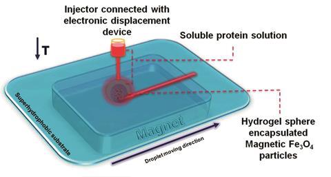 Fabricating protein patterns over superhydrophobic platforms