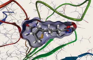 FEATURE-enzymes-320