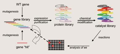 FEATURE-enzymes-390