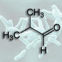 butyraldehyde-200