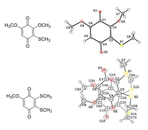 An image showing the structures of two compounds extracted from the venom of D melici