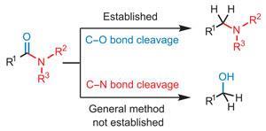 Reduced To Clear Opinion Chemistry World