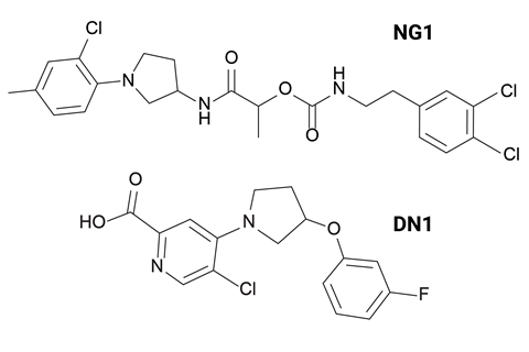 Two organic chemical structures.