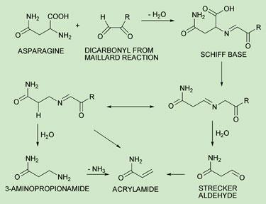 FEATURE-Acrylamide-375