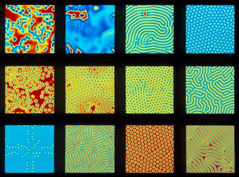 Turing patterns