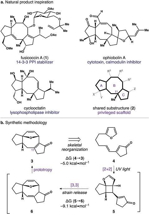 Recent strategies used in the synthesis of saturated four-membered  heterocycles - Organic & Biomolecular Chemistry (RSC Publishing)  DOI:10.1039/D1OB00988E