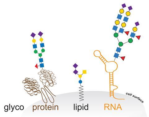 An image showing small RNAs