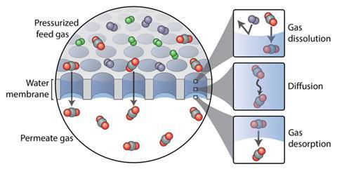 Scheme of water-based membranes for gas separations