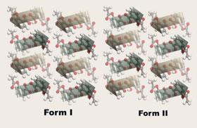 FEATURE-Polymorphism-280