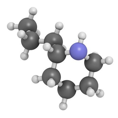Coniine 3D molecule 