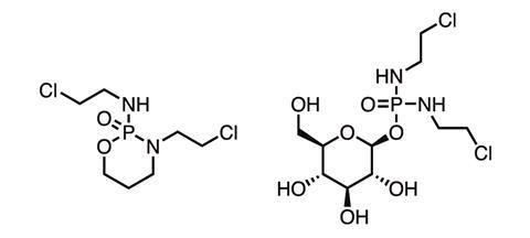 Chemical structures of ifosfamide (left) and glufosfamide (right)